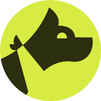 Gauge review